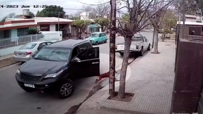 Perrito malvado: se subió a una camioneta, la puso en movimiento y chocó