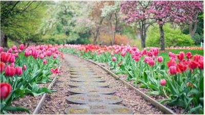 Equinoccio de primavera 2023: qué es y a qué hora ocurrirá