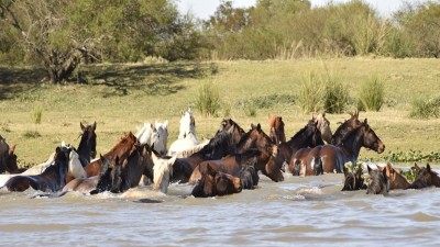 Séptima edición de la Fiesta del Pueblo Isleño