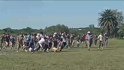 Jugaron al chancho enjabonado en escuela y los acusan de maltrato animal