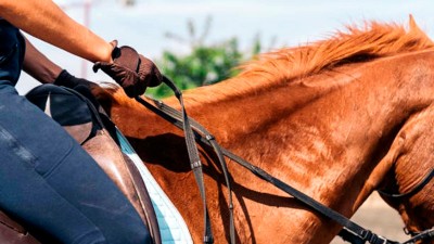 A caballo y punta de pistola, delincuentes robaron celular a una mujer