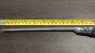 Tres jóvenes mataron a un perro con un hierro punzante en Viale