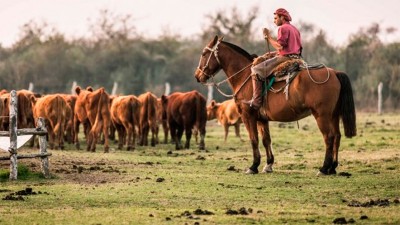 Aumenta la prestación por desempleo para trabajadores rurales