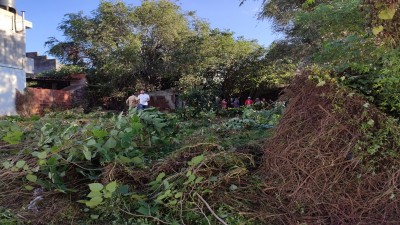Limpieza de terrenos baldíos