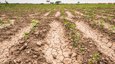 En América Latina estiman que será abrupto  el paso del fenómeno El Niño a la Niña
