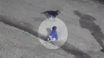 Video: Policías rescataron a un bebé que apareció gateando solo en la madrugada