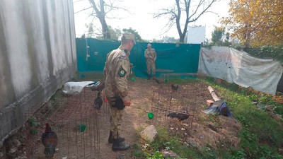 Rescataron 13 gallos y una gallina en una vivienda: identificaron a un hombre