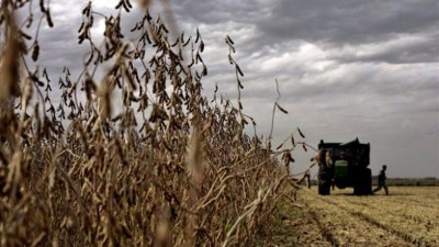 La cosecha de granos en Brasil caerá 5.9 por ciento: ¿Beneficia a la Argentina?