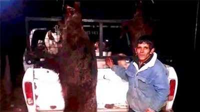 Un hombre salió a cazar y murió atacado por un jabalí en un paraje rural