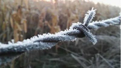 El invierno 2024 será el segundo más frío de los últimos 60 años
