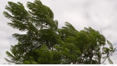 Alerta por fuertes vientos en Entre Ríos: piden evitar actividades al aire libre