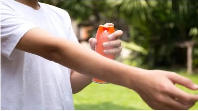 ANMAT y el gobierno se reunieron para evitar desabastecimiento de repelentes en la próxima temporada