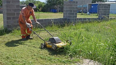 Dengue: la limpieza de nuestro hogar es fundamental para evitar la reproducción de mosquitos