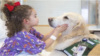 Un sanatorio de Rosario permite la visita de mascotas a pacientes pediátricos