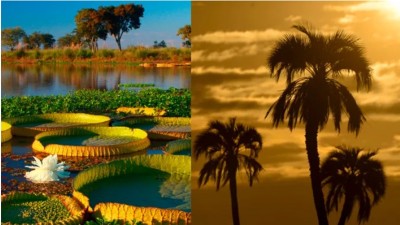 Se celebra este miércoles el Día de los Parques Nacionales: ¿cuántos hay en Entre Ríos?