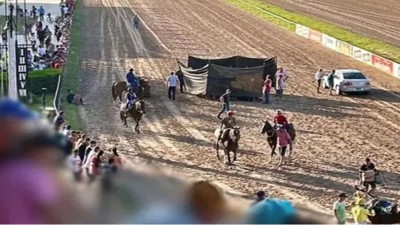 Un caballo fue sacrificado en plena carrera tras fracturarse las patas