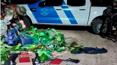 Video: Se disfrazó de camalote para contrabandear cigarrillos por el río Paraná
