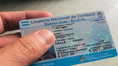 Desregulación del transporte automotor: cómo será la obtención y renovación de la licencia profesional