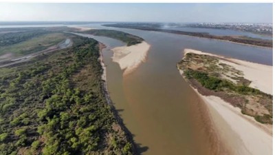 Problemas globales para la conservación de la biodiversidad: 7 de 15 son una amenaza en Argentina