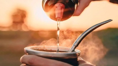 Revelan cómo la yerba mate puede beneficiar a personas con diabetes y controlar la obesidad