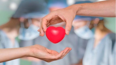 Donar médula ósea puede salvar vidas: cómo sumarse al registro en Argentina