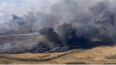 Piden reparación integral del Delta del Paraná: se han quemado 30.000 hectáreas este año