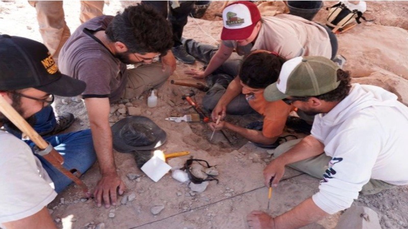 El Conicet transmitirá en vivo la búsqueda de fósiles de dinosaurios
