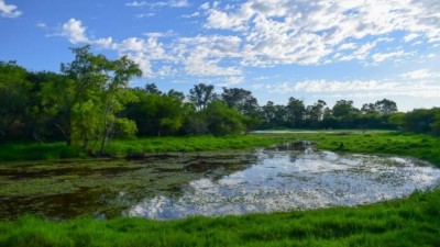 Entre Ríos regulariza una nueva área natural protegida en Villaguay
