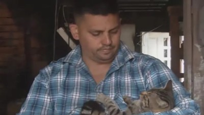 Héroe felino: se incendiaba su vivienda y su gato lo despertó con una mordida 