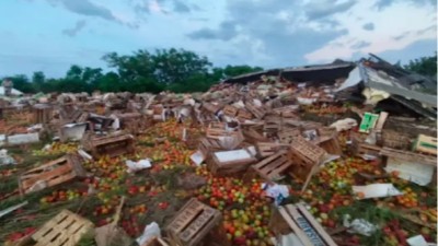 Volcó un camión que transportaba verduras en la Ruta 12 y vecinos se llevaron la carga