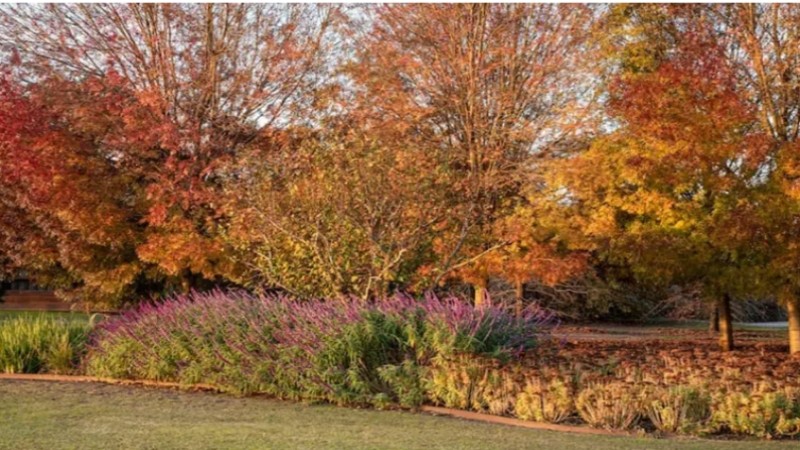 Equinoccio de otoño: cuándo comienza la nueva estación en Argentina