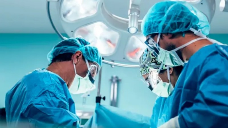 El Vaticano avala el uso de órganos animales para trasplantes humanos