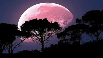 Luna Rosa 2026: cuándo y cómo ver el fenómeno en Argentina
