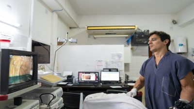 Recuerdan medidas para prevenir el cáncer de colon