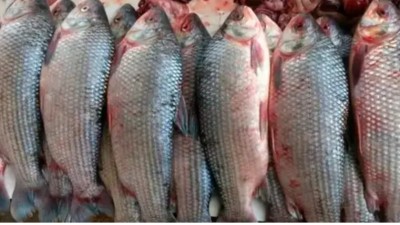 Recomendaciones para un consumo seguro de pescado durante Semana Santa