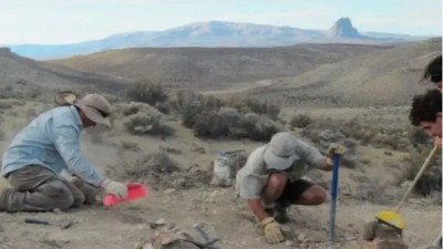 Científicos argentinos descubrieron en Chubut un dinosaurio de 150 millones de años