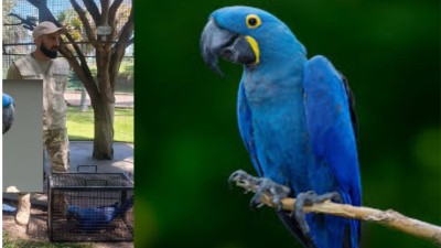 La Provincia fortalece la conservación de fauna junto a la Fundación Tekove Mymba