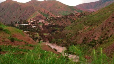 Emboscaron a dos empresarios en un monte y les robaron 25 millones de pesos