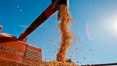 Esperan ingresos de más de US$ 11.200 millones por agroexportaciones