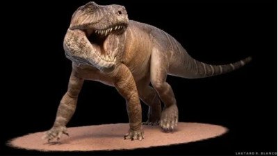 Descubren un cocodrilo en el país que vivió hace 237 millones de años