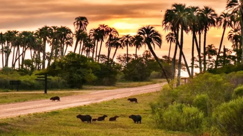 Vacaciones de invierno: en una semana comienza el receso escolar en Entre Ríos
