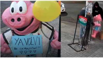 Robaron un chancho de un kiosco, lo devolvieron y dejaron una inesperada carta de disculpas