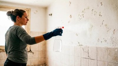 Cómo limpiar el moho de la pared y evitar que vuelva a aparecer