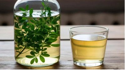 Caña con ruda: por qué se toma el 1° de agosto y cuál es el origen de esta tradicional costumbre