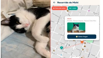 Entrerriano creó una aplicación para encontrar mascotas perdidas y ya logró 20 reencuentros