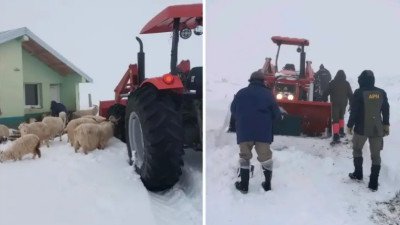 Caminó varios kilómetros en la nieve para volver a su puesto y cuidar a los animales