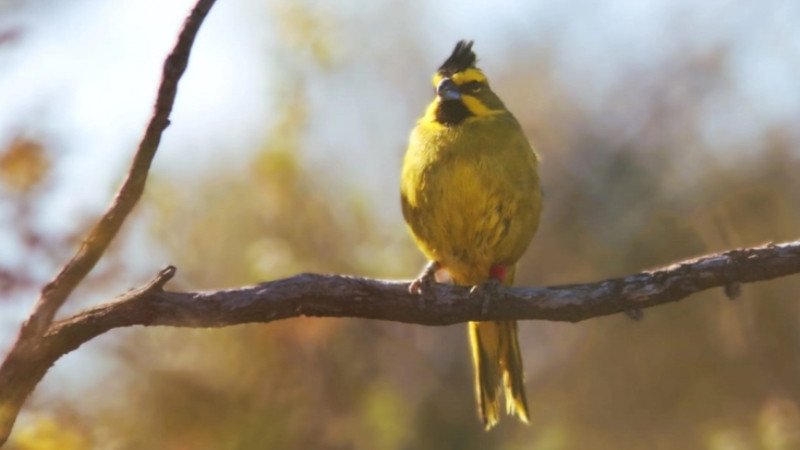 Entre Ríos fortalece la conservación de sus Monumentos Naturales junto a la Fundación Temaikén