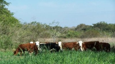 El Gobierno de Entre Ríos recuperó 124.000 hectáreas de tierras fiscales y generó nuevos ingresos para la provincia