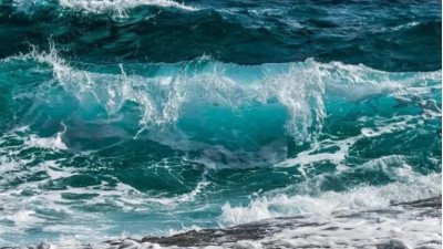 Océanos en máximos de temperatura: el impacto que puede sentirse en todo el planeta