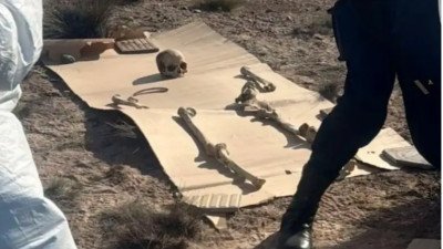Caminaba con su perro, halló un cráneo y 125 huesos en Puerto Madryn: qué determinaron los peritos